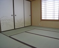 IMG_2550-thumb-345xauto-1208